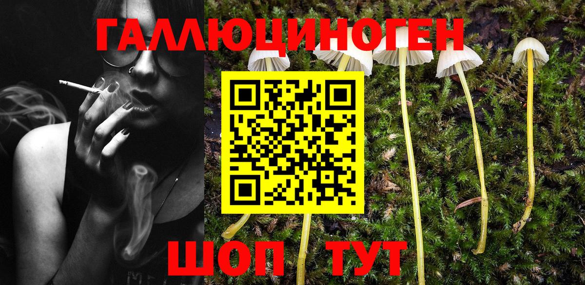 Галлюциногенные грибы Psilocybe  Псилоцибиновые грибы ЛСД  Семилуки  Вход с VPN 